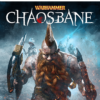 WARHAMMER CHAOSBANE SLAYER EDITION PS5 1 Chaosbane PS5